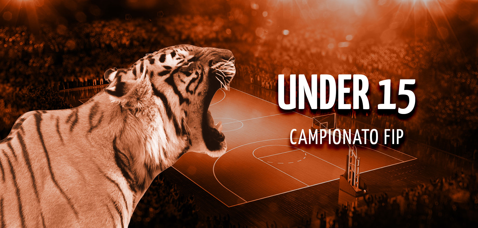 Campionato U15 Tiger Roma Basket
