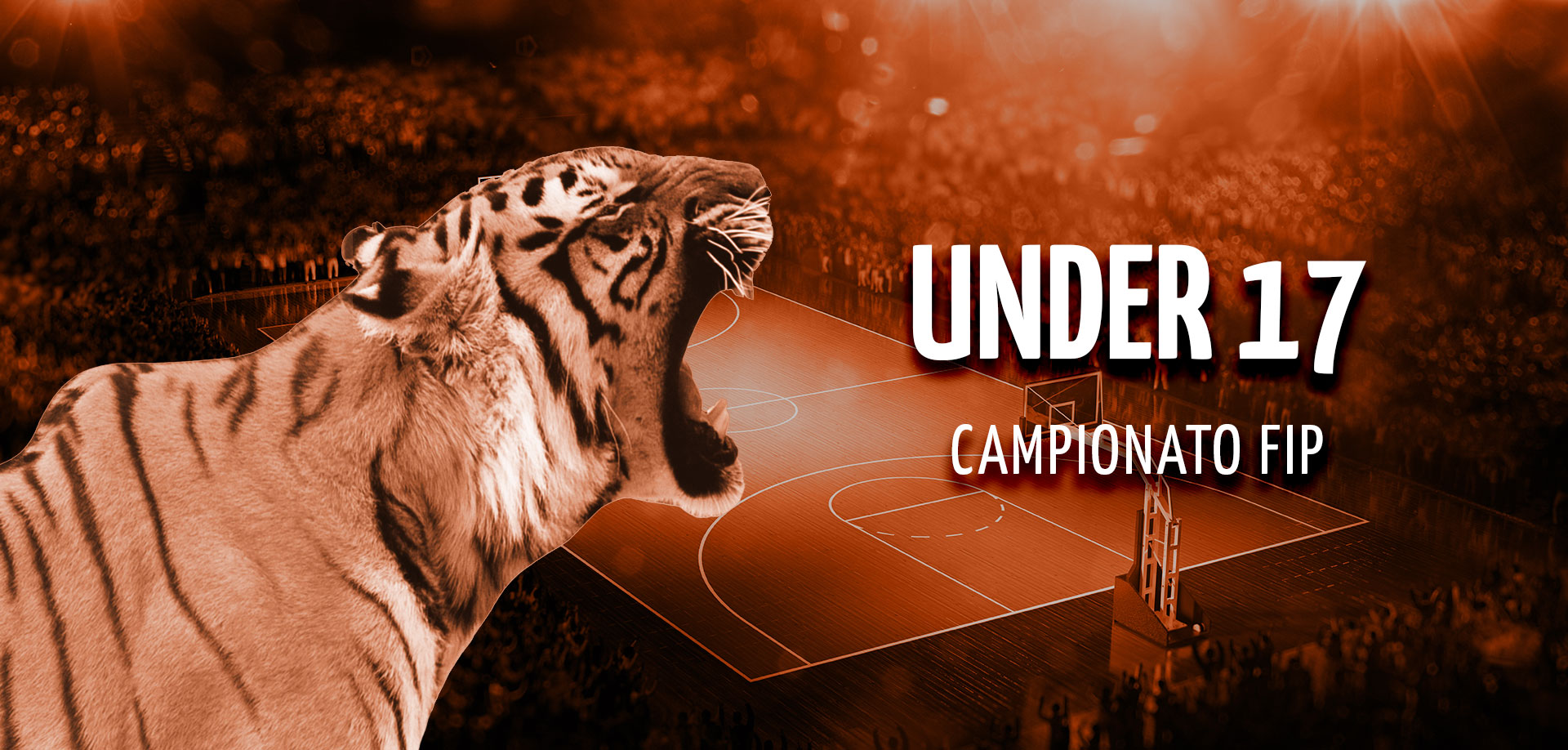 Campionato U17 Tiger Roma Basket